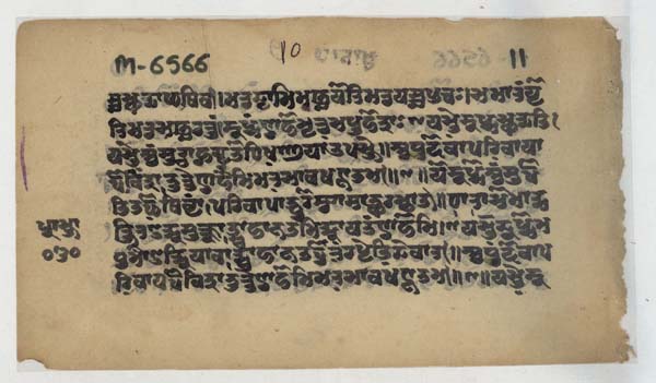 {title}