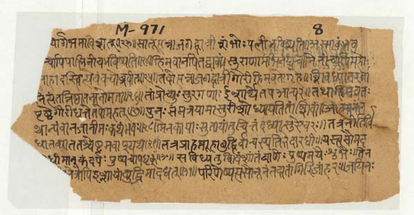 {title}